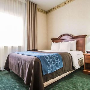 Suite mit Queensize-Bett