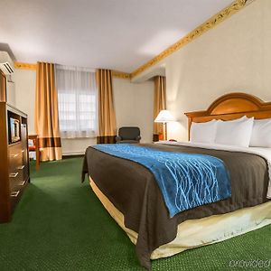 Zimmer mit Kingsize-Bett